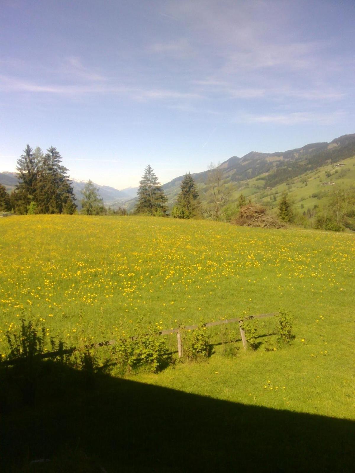 Appartamento Haus Riedmann Lend Esterno foto